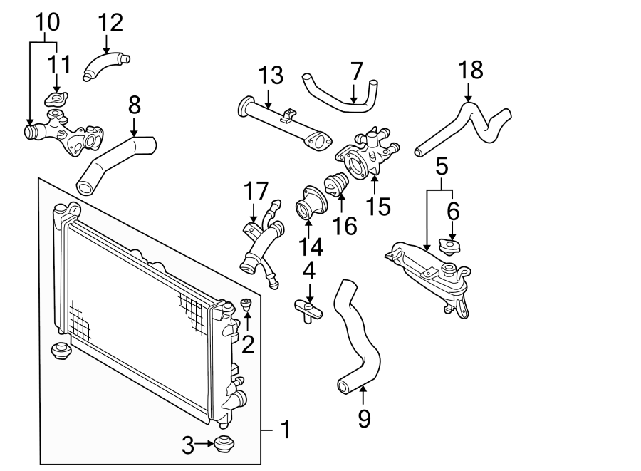 Mazda Millenia Hose, water. Lower hose. Radiator coolant hose. Radiator